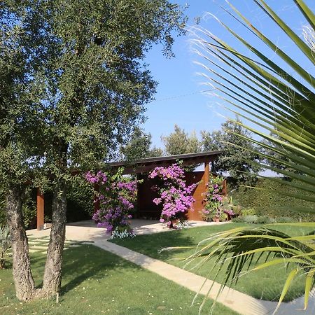 B&B "Corte San Tomaso" Legnago Exterior foto