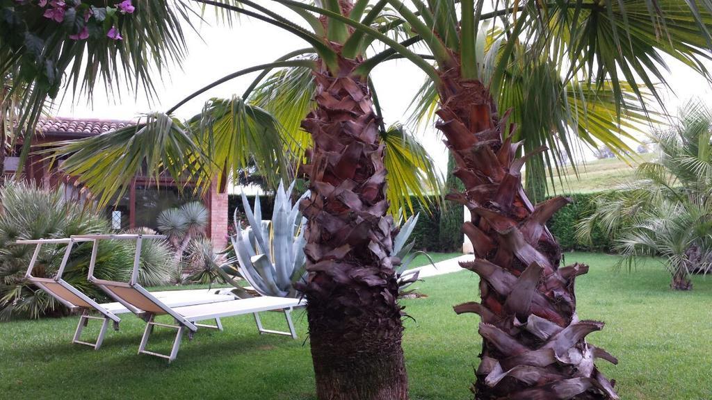 B&B "Corte San Tomaso" Legnago Exterior foto